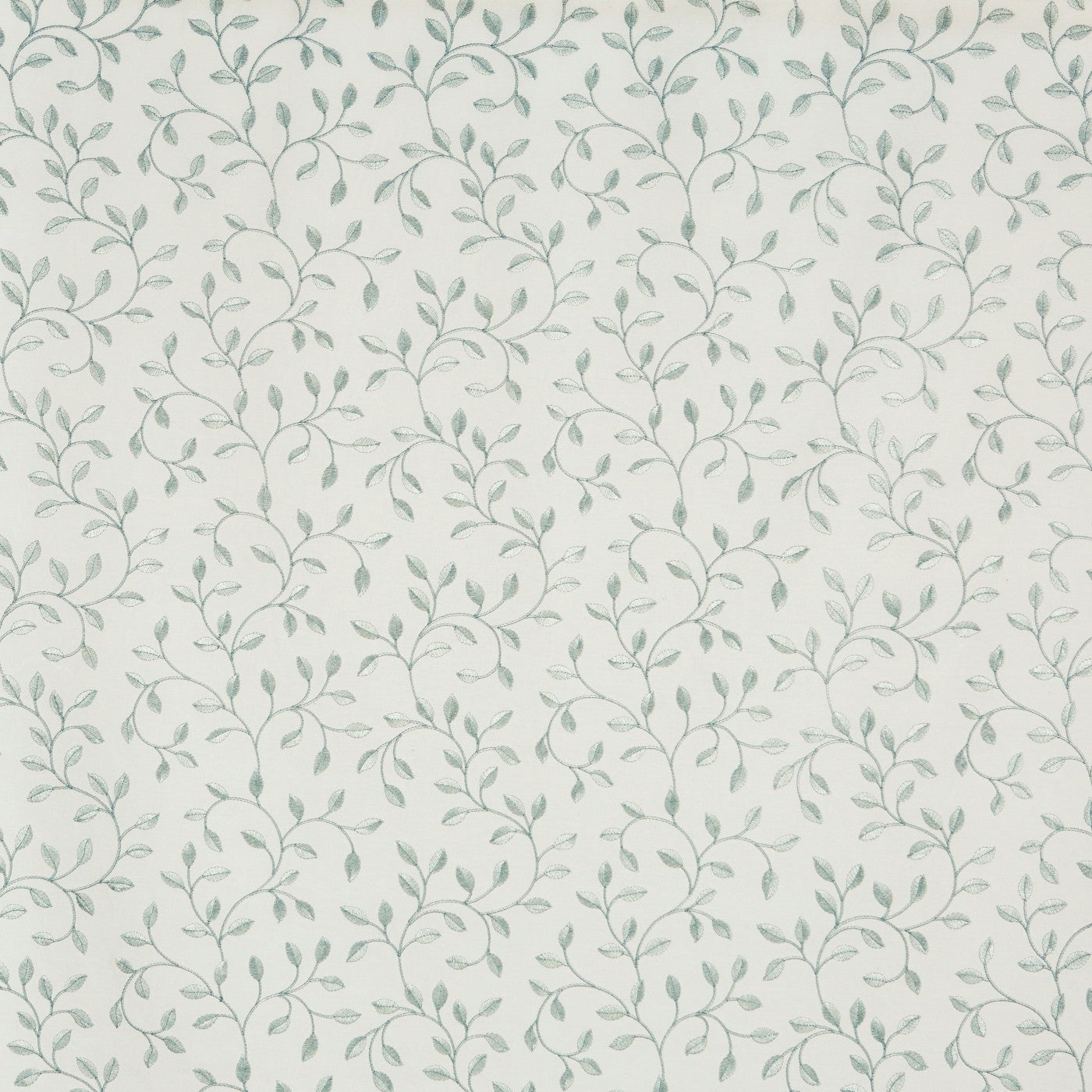 Poplar Peppermint