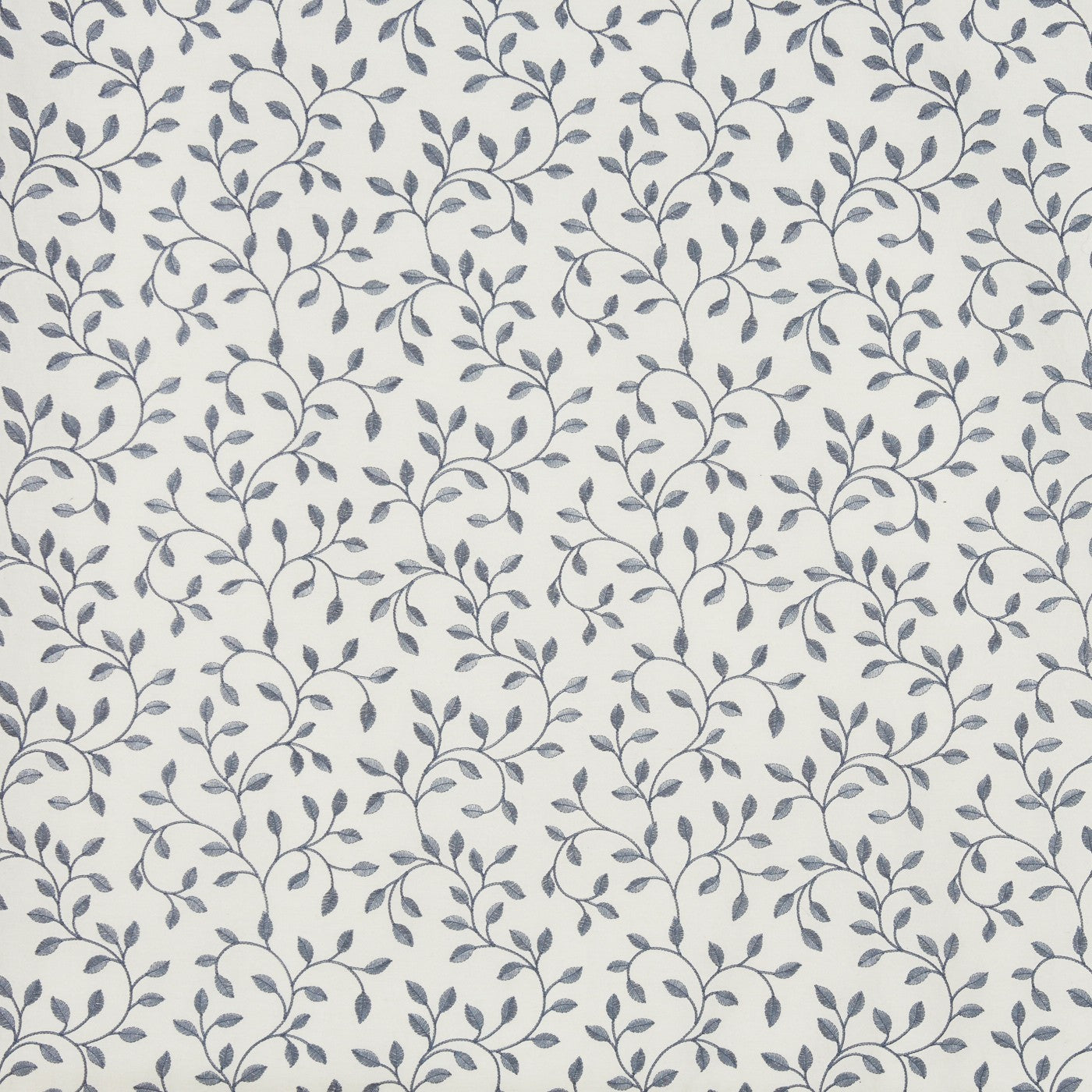 Poplar Blueberry