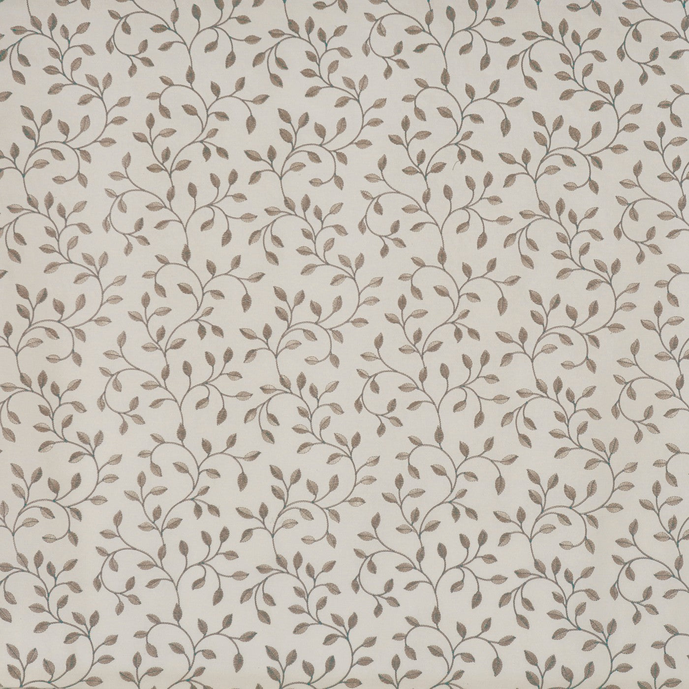 Poplar Peppercorn