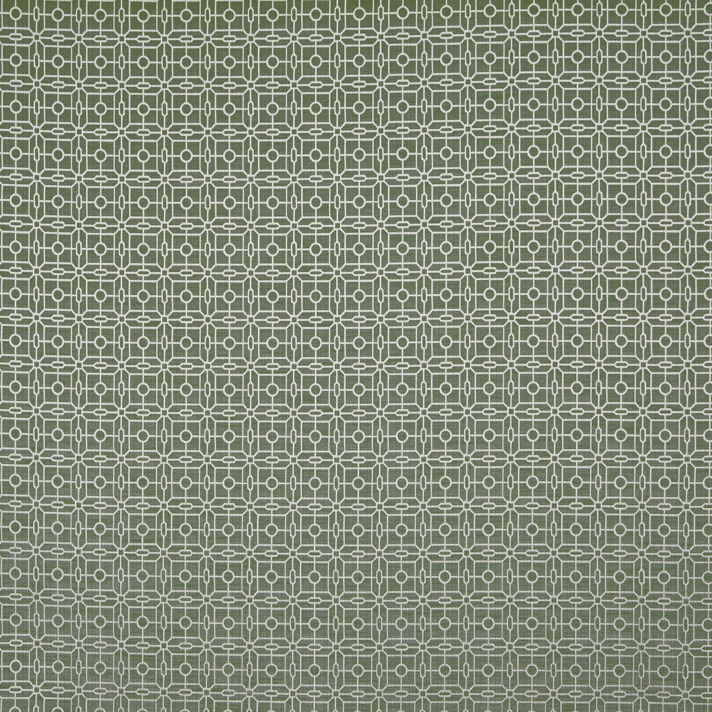 Regent Laurel