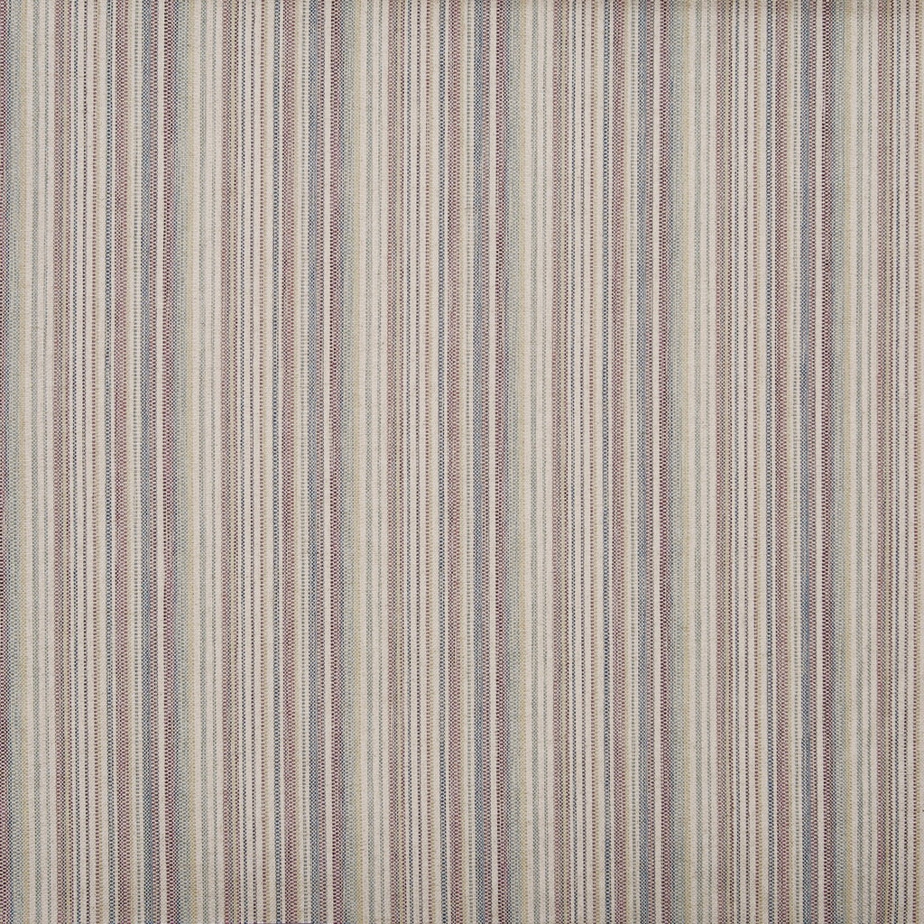 Lawn Woodrose