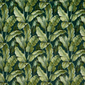 Nicobar Rainforest (pts104)