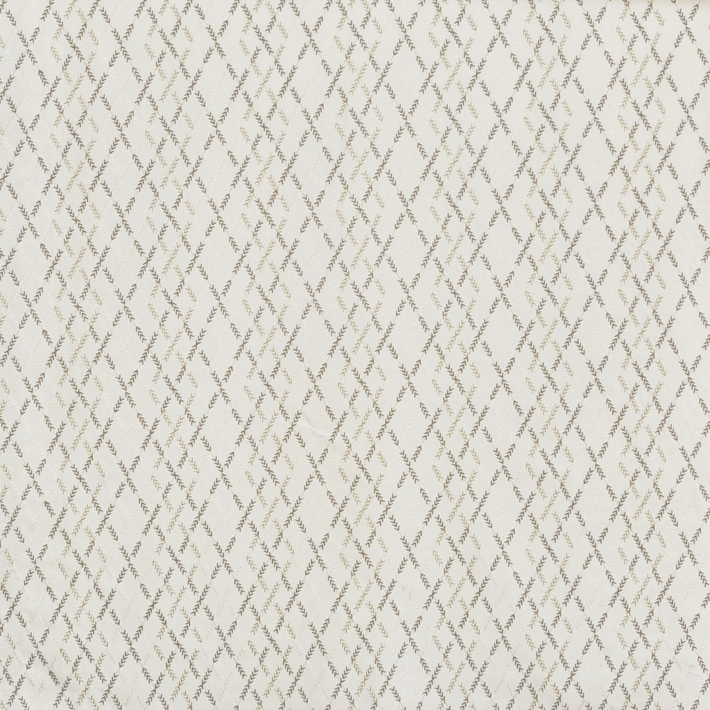Willow Pampas
