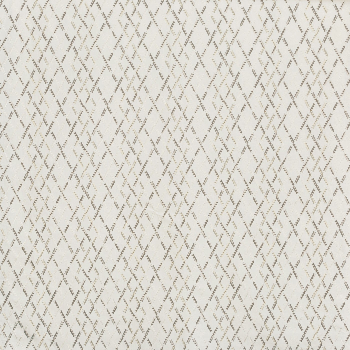 Willow Pampas