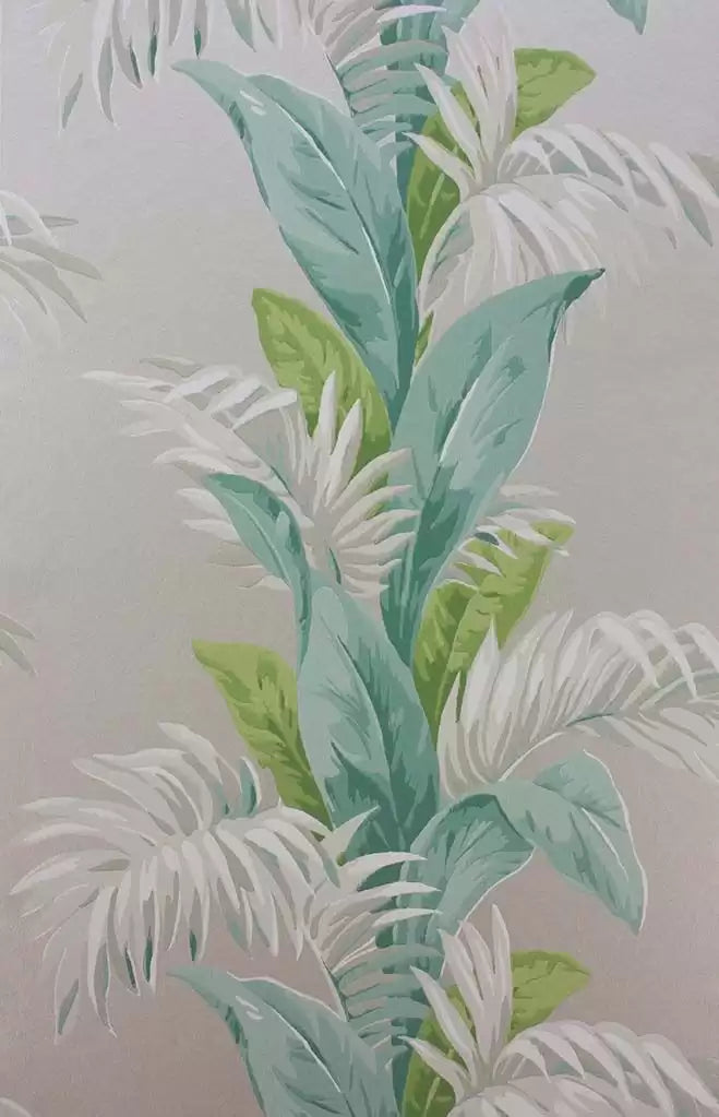 Palmetto (Coromandel)