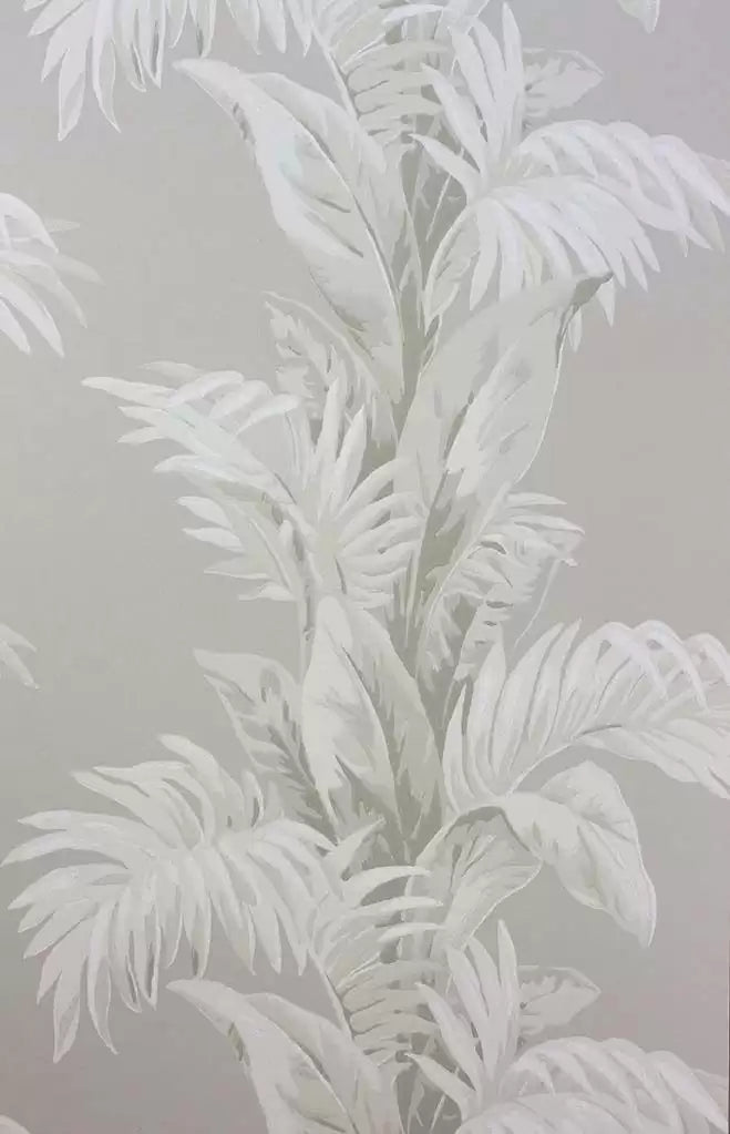 Palmetto (Coromandel)