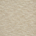 Clove Pampas