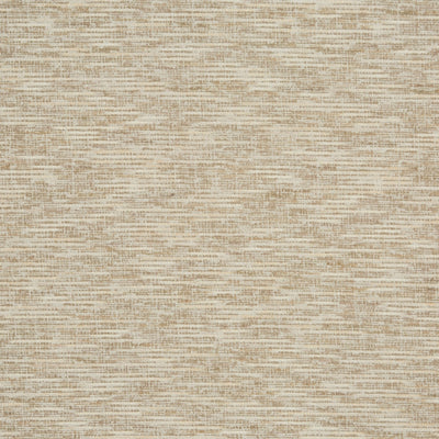 Clove Pampas