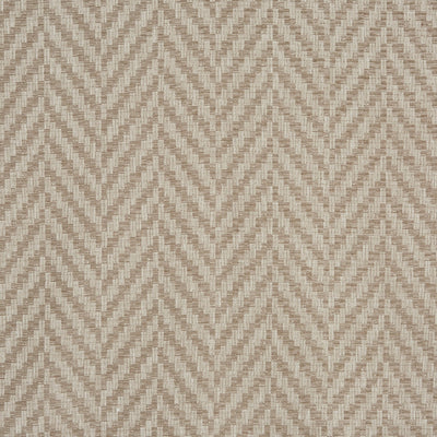 Rattan Bark