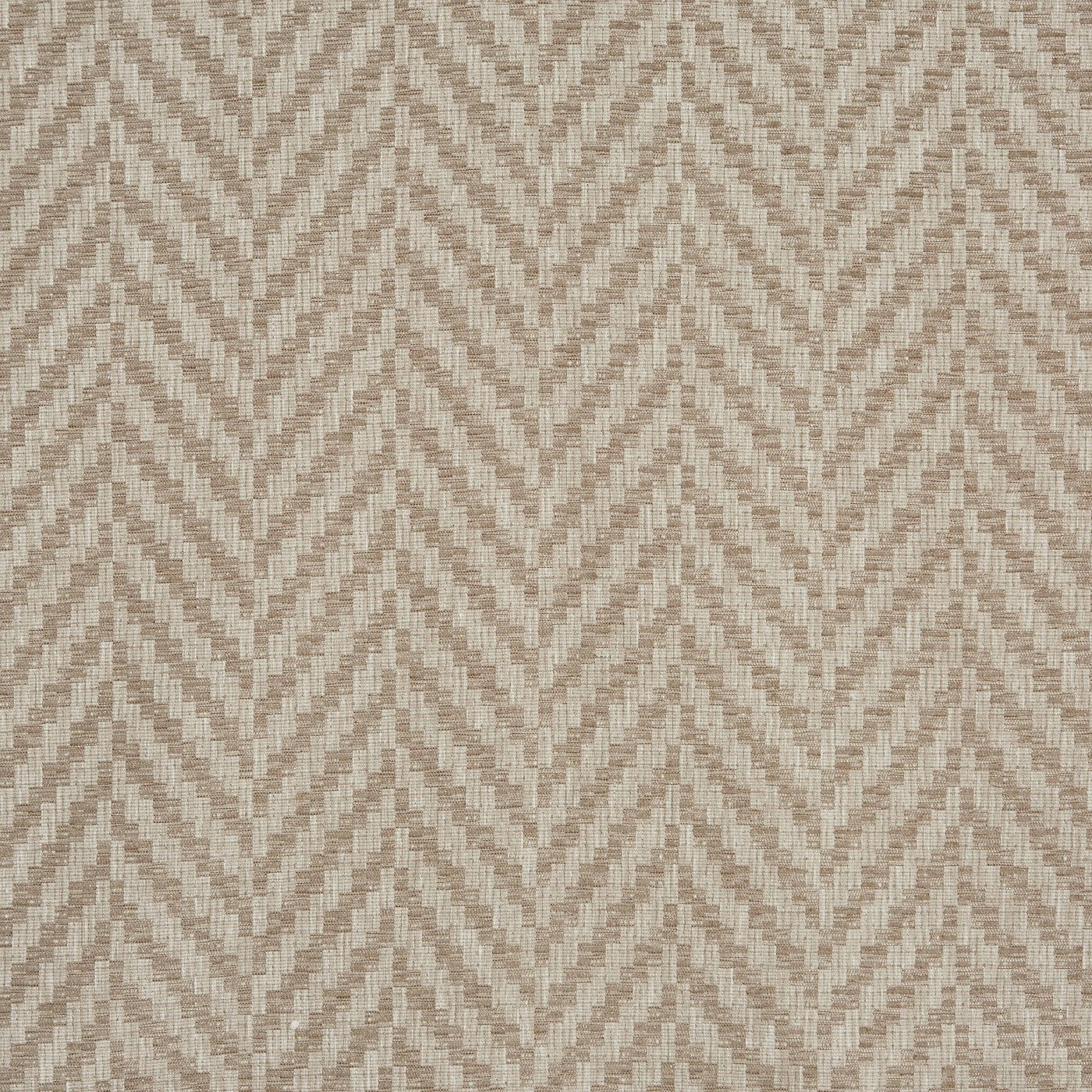 Rattan Bark