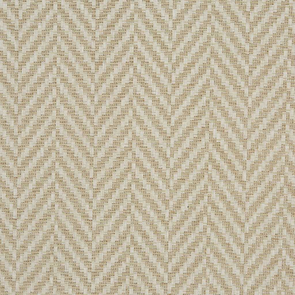 Rattan Pampas