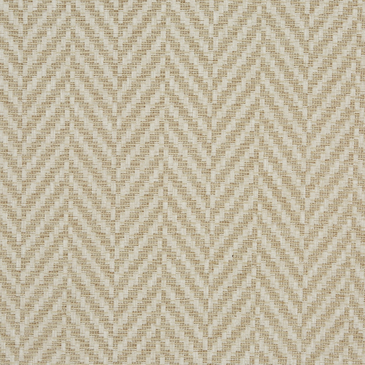 Rattan Pampas
