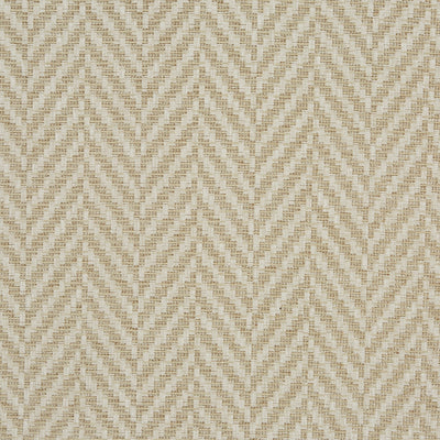 Rattan Pampas