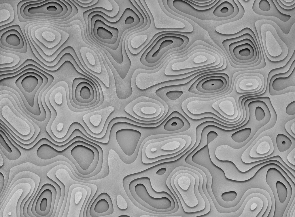 3D 29