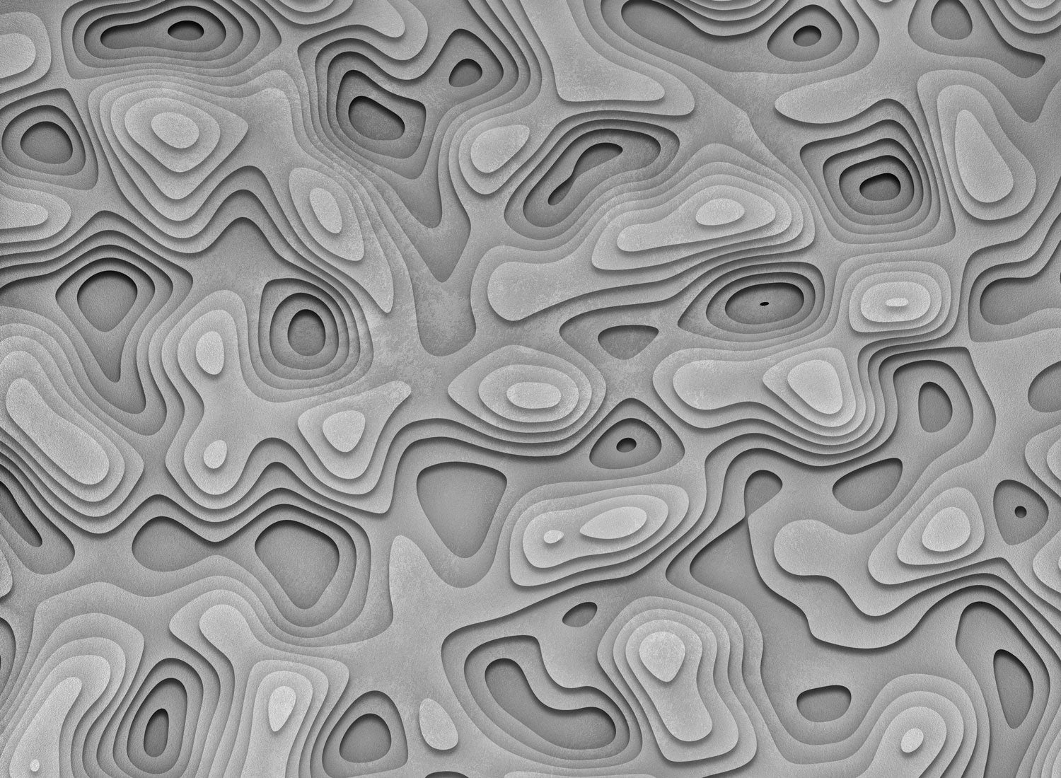 3D 29