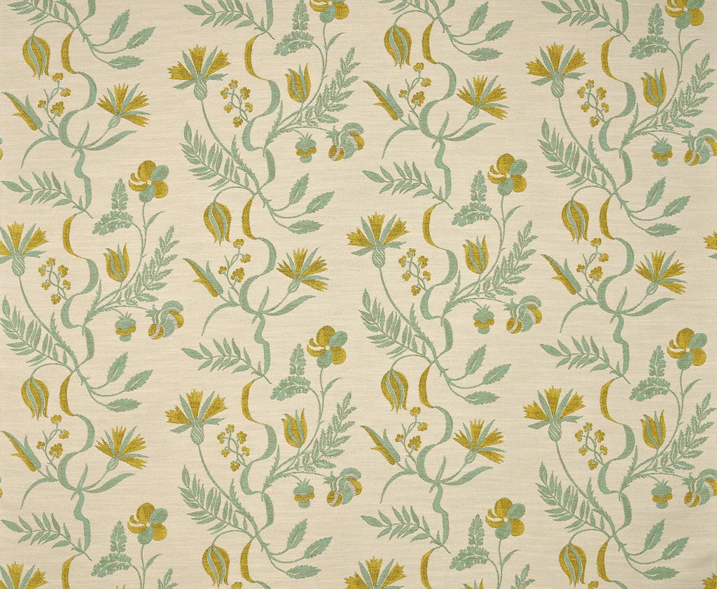Bloomer Cumin - Lumières Boréales