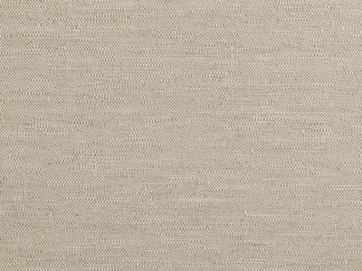 Assouan Lin - Natecru Textures N.1