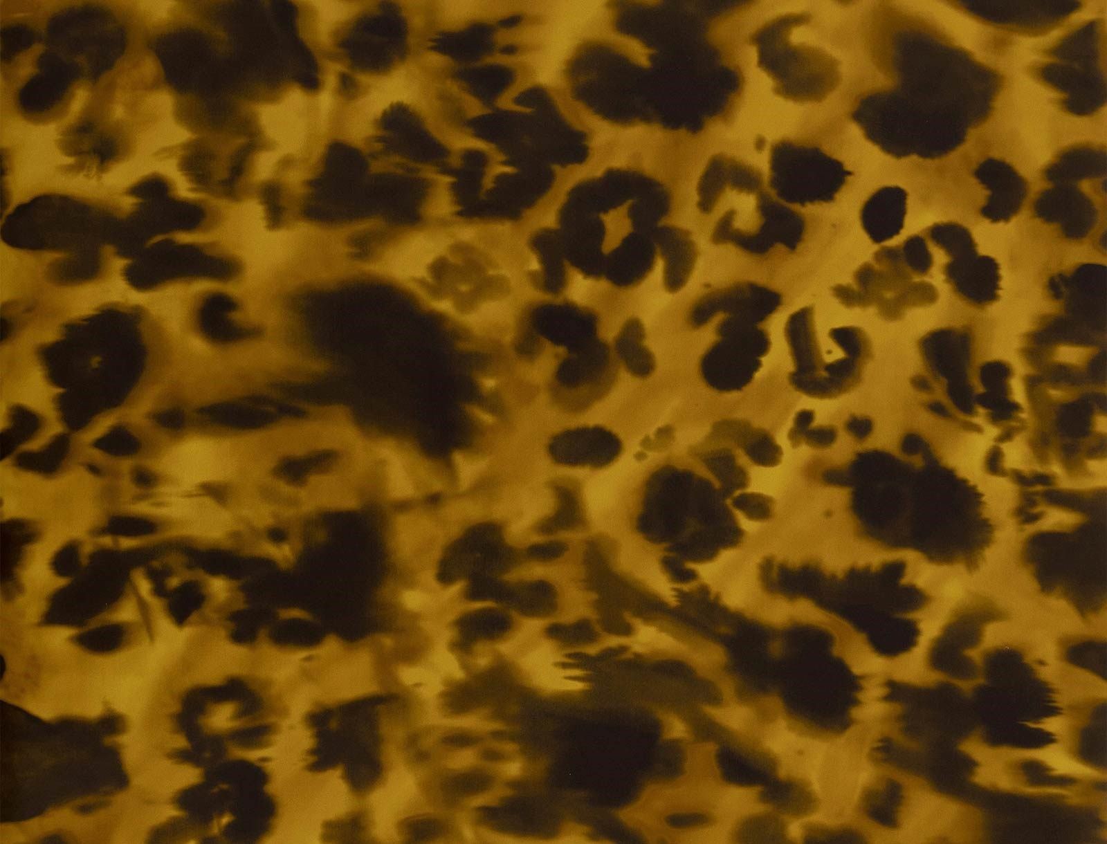 WILDCAT WALLPAPER (Duquette's Dawnridge Wallcovering)