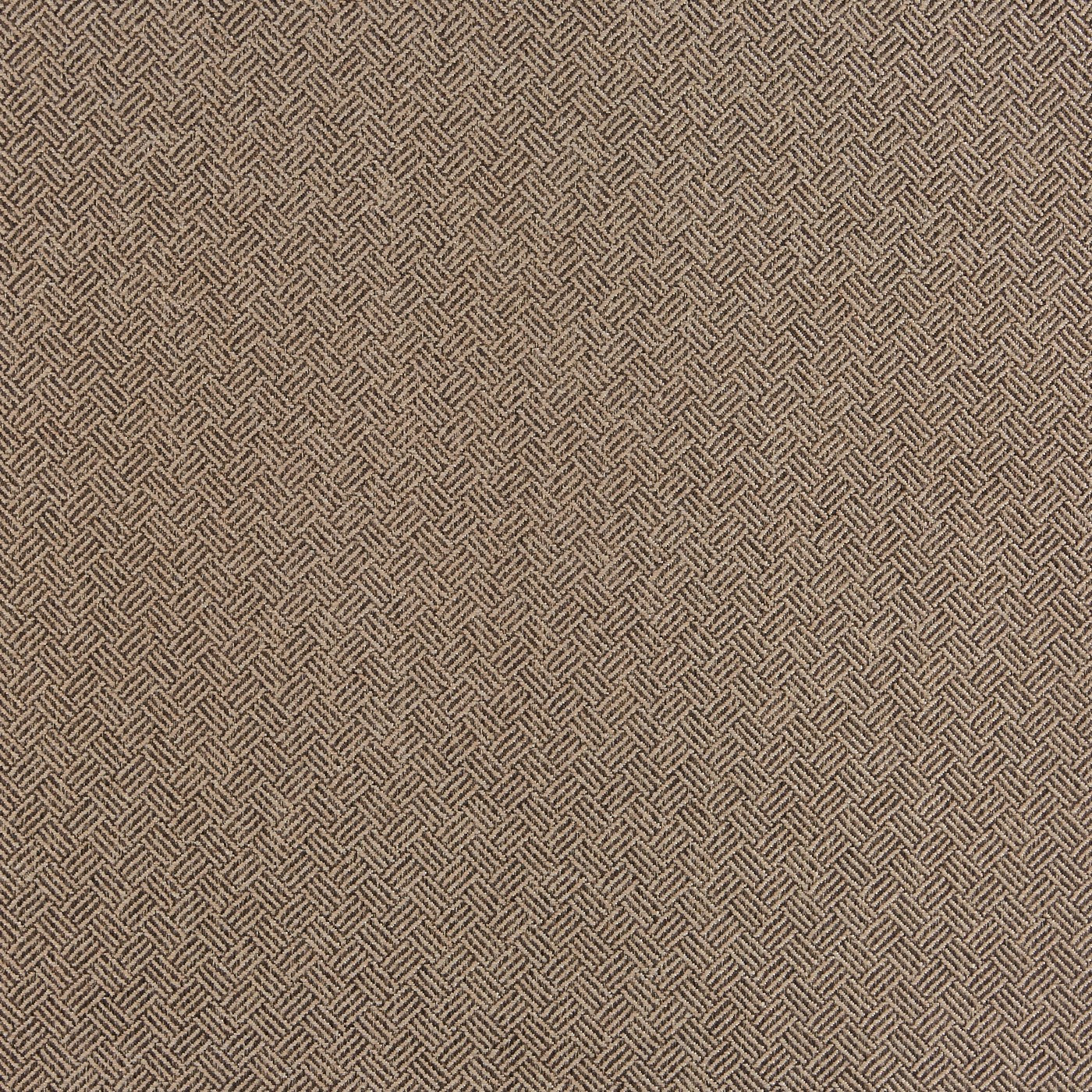 Helmsley Liquorice (ptc116)