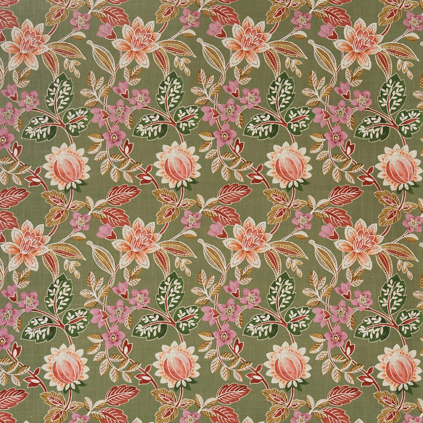 Kamala Lichen (pts112)