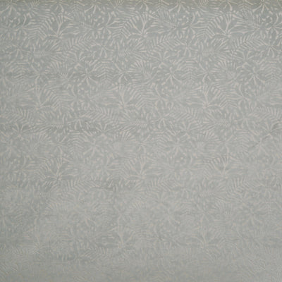 Perennial Frost