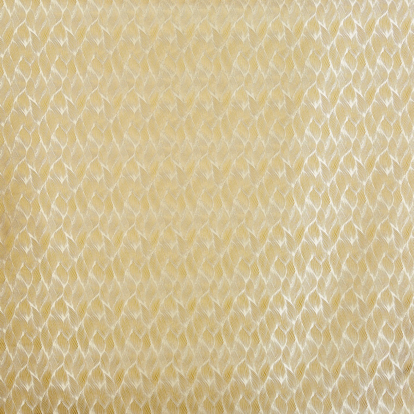 Farah Saffron (pts113)