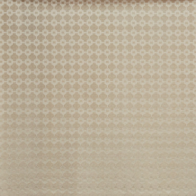 Jamila Calico (pts113)