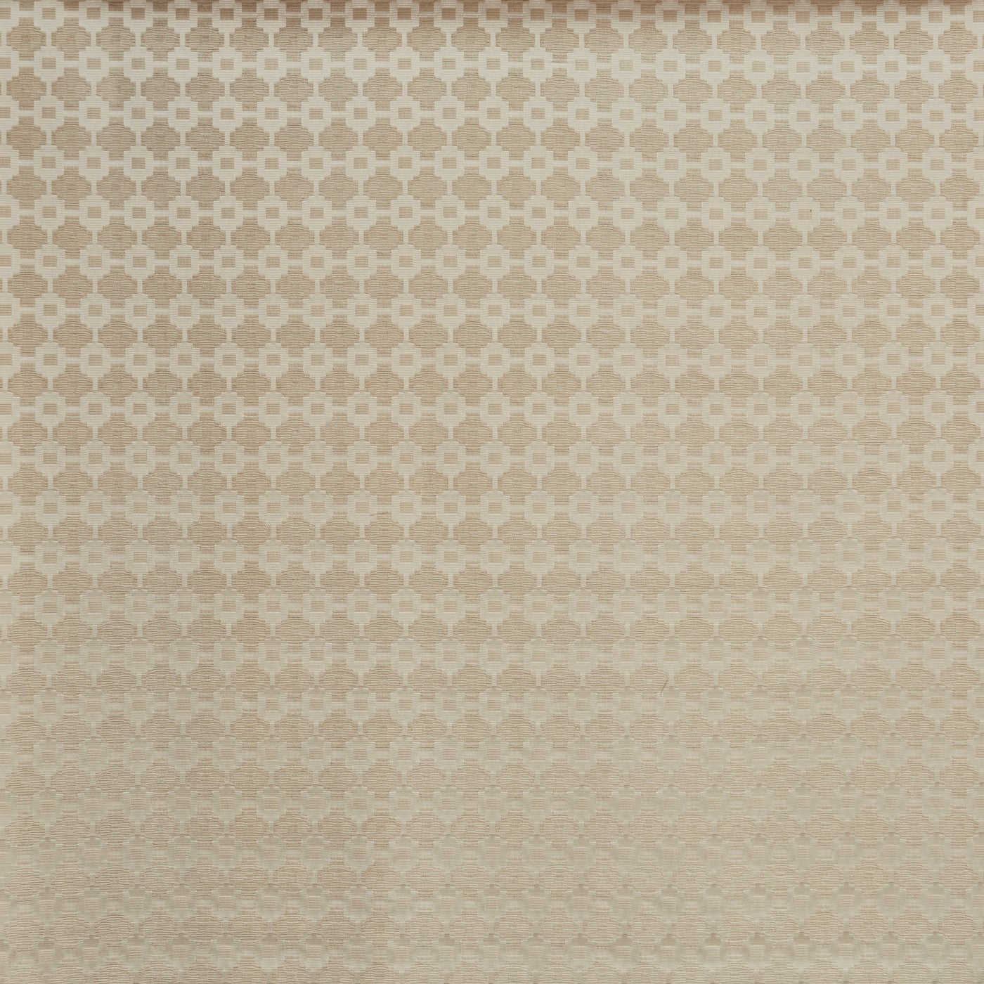 Jamila Calico (pts113)