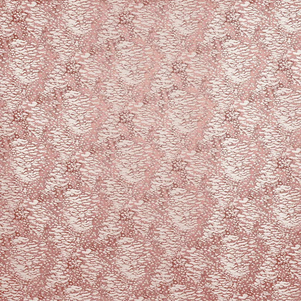 Nahla Orchid (pts113)