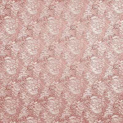 Nahla Orchid (pts113)
