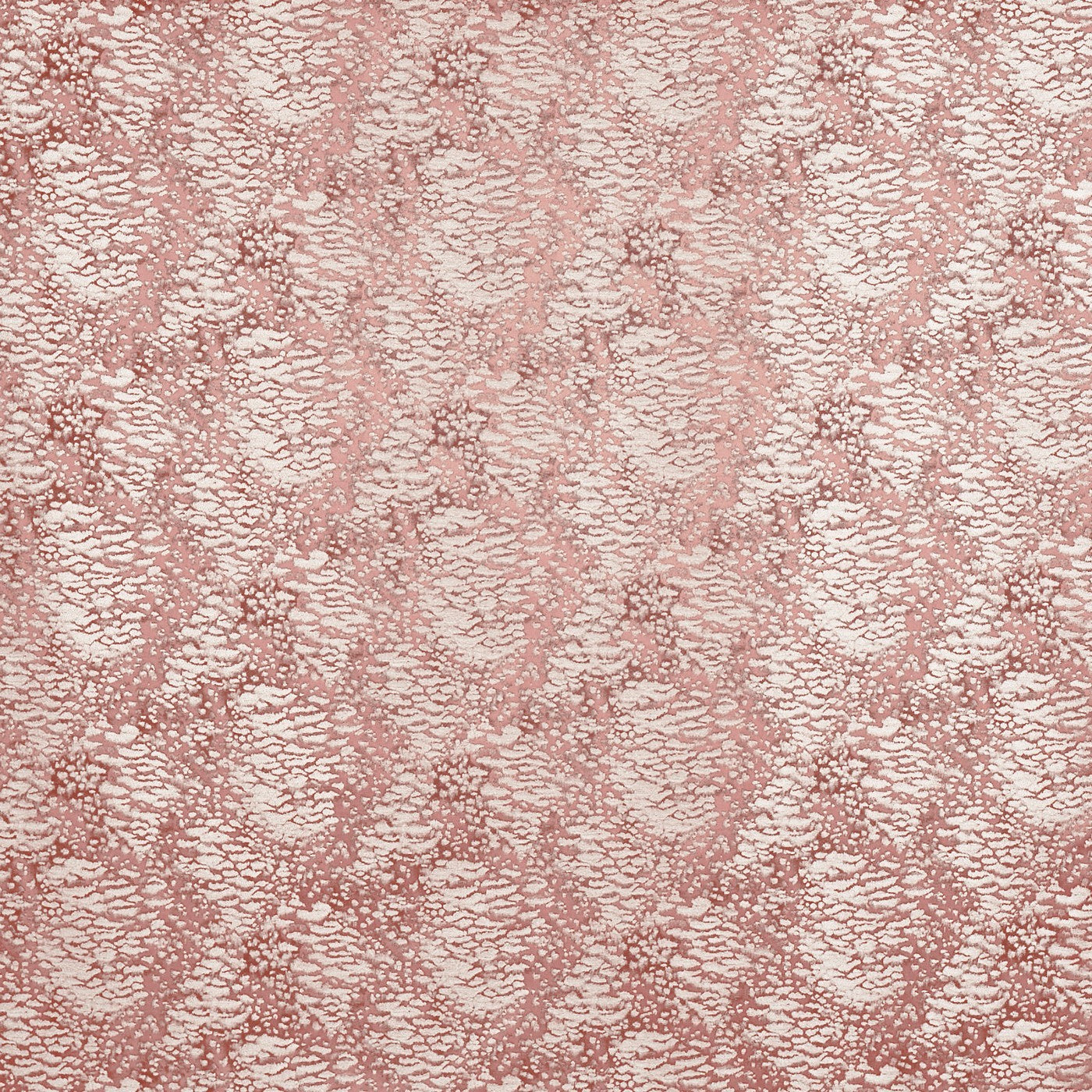 Nahla Orchid (pts113)