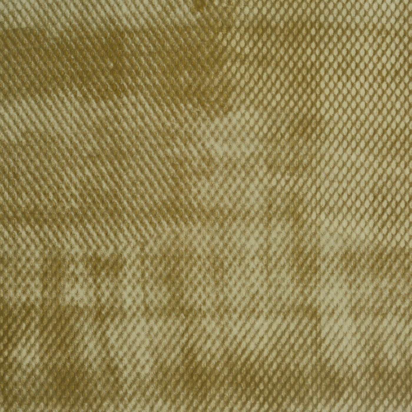Pluto Chartreuse (pts122)
