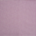 Riva Raspberry