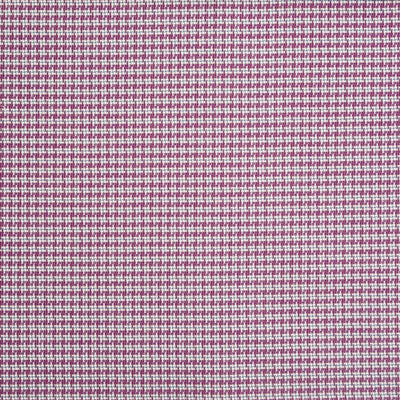 Riva Raspberry