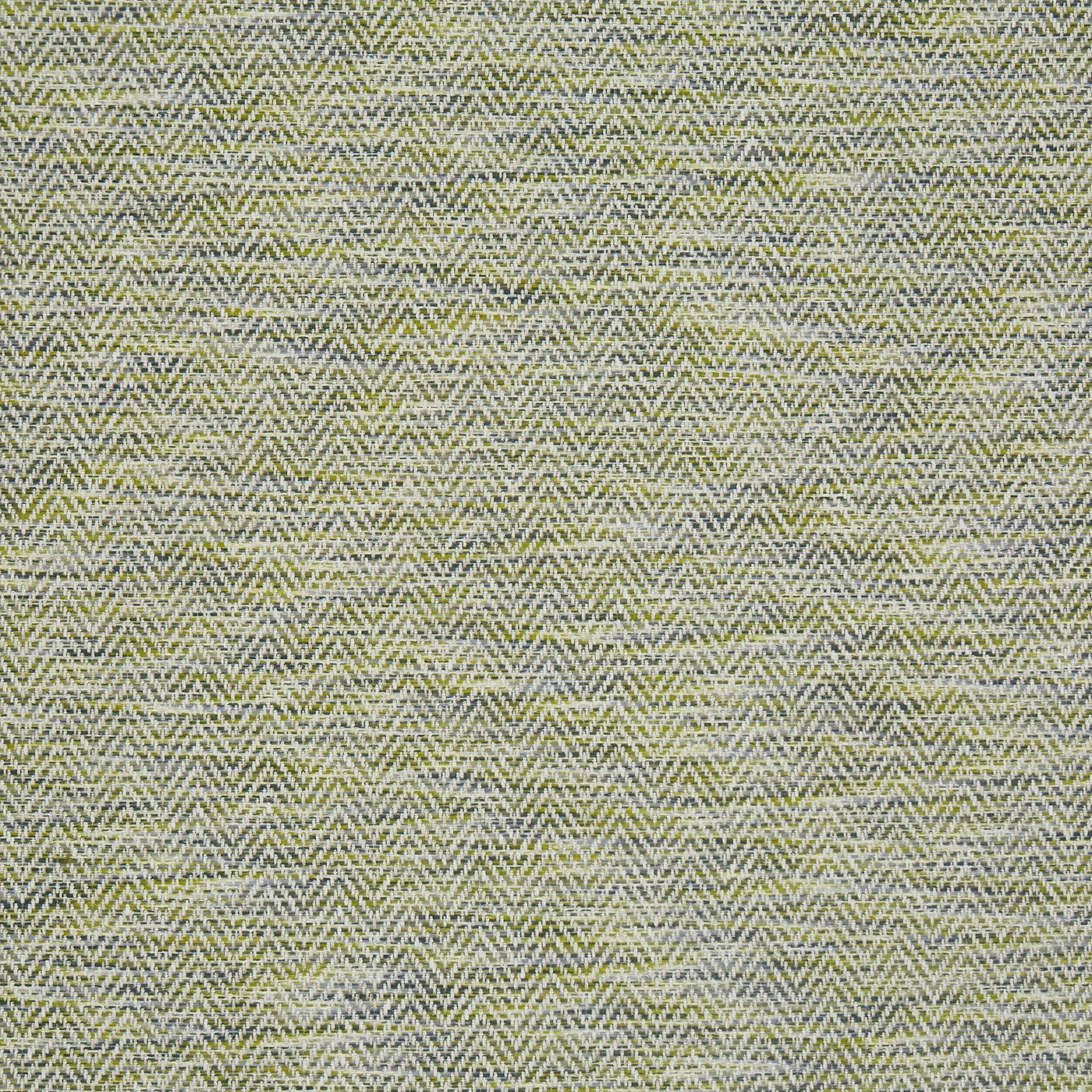 Sienna Citron