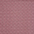 Vernazza Raspberry