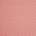 Vernazza Coral