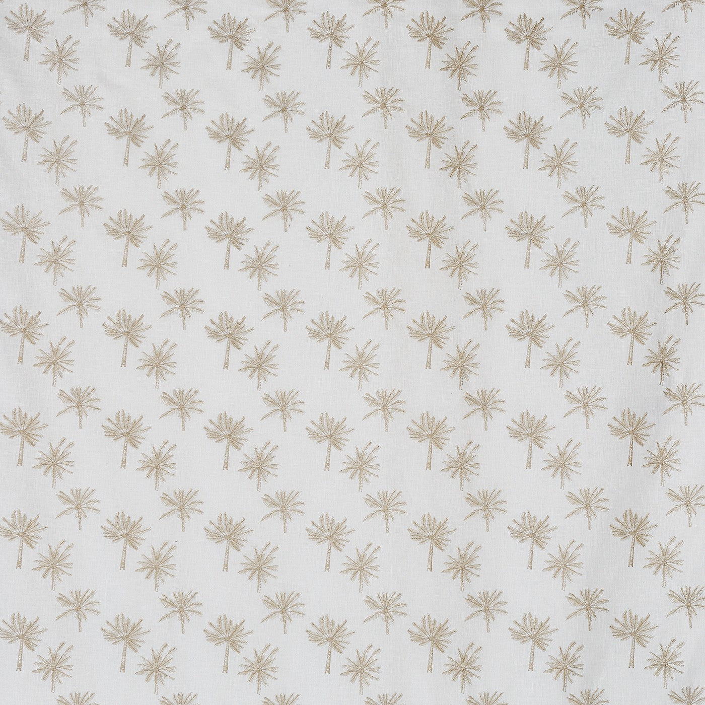 Little Palm Sand