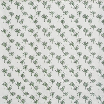 Little Palm Fern
