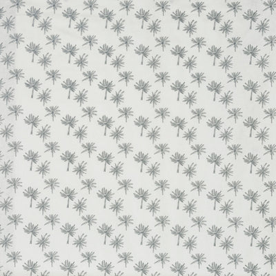 Little Palm Silver