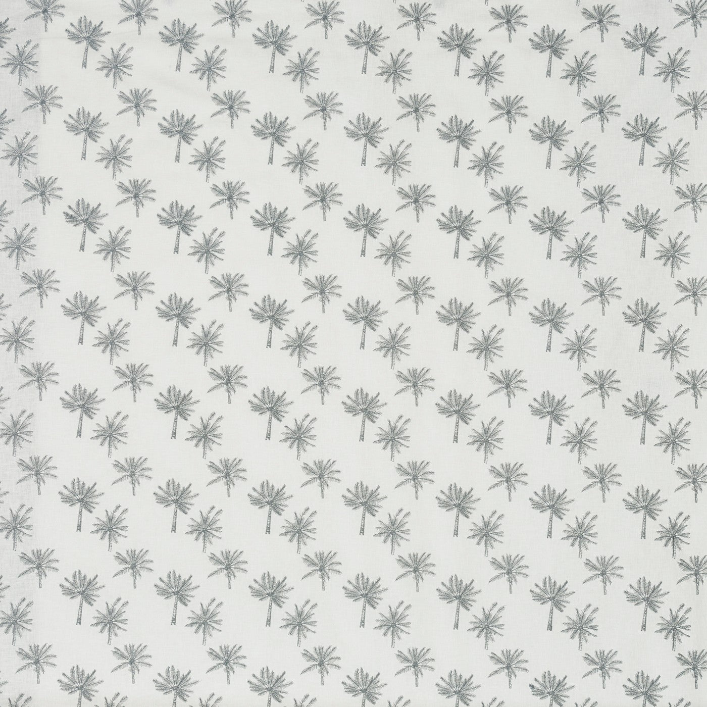 Little Palm Silver