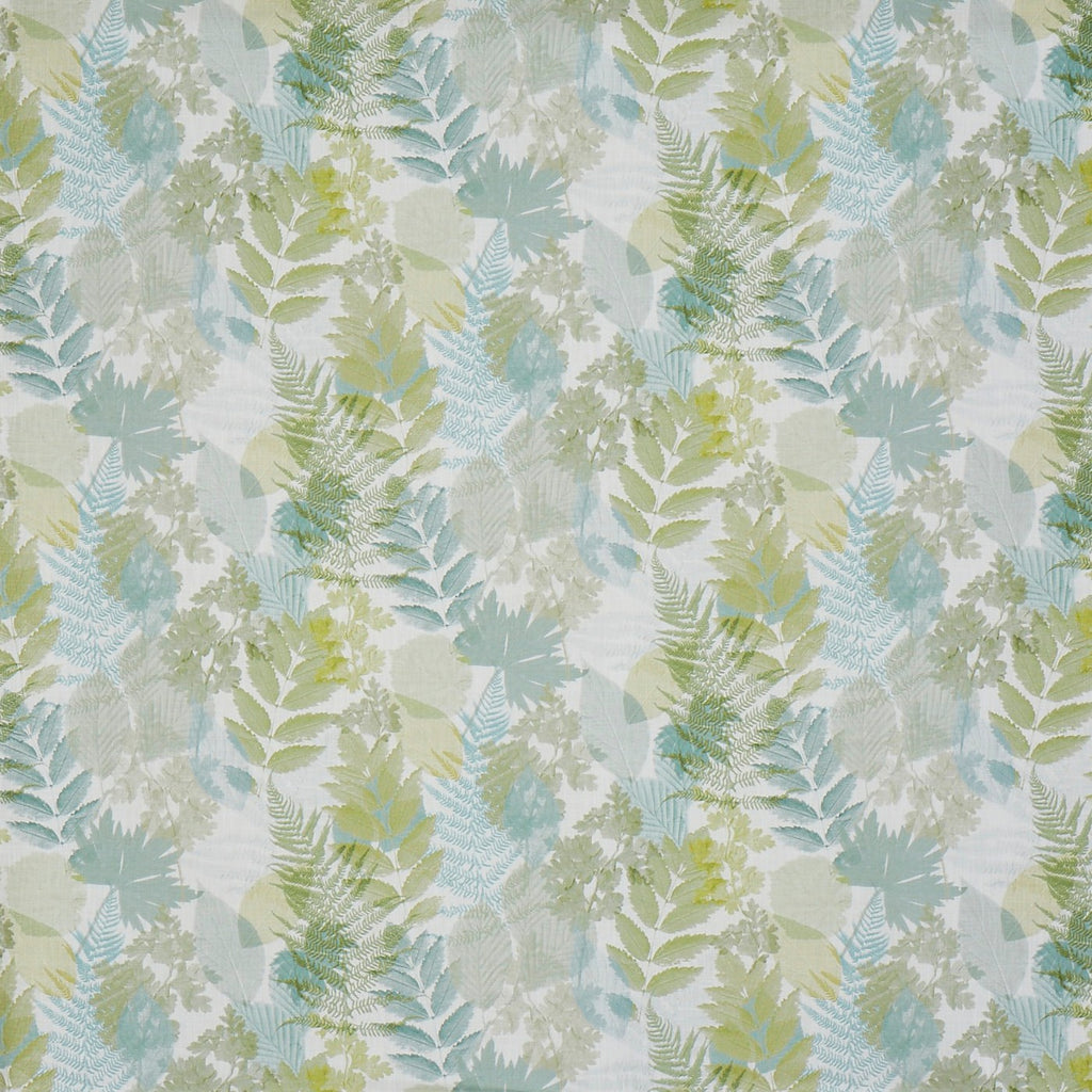 Forest Willow (pts108)