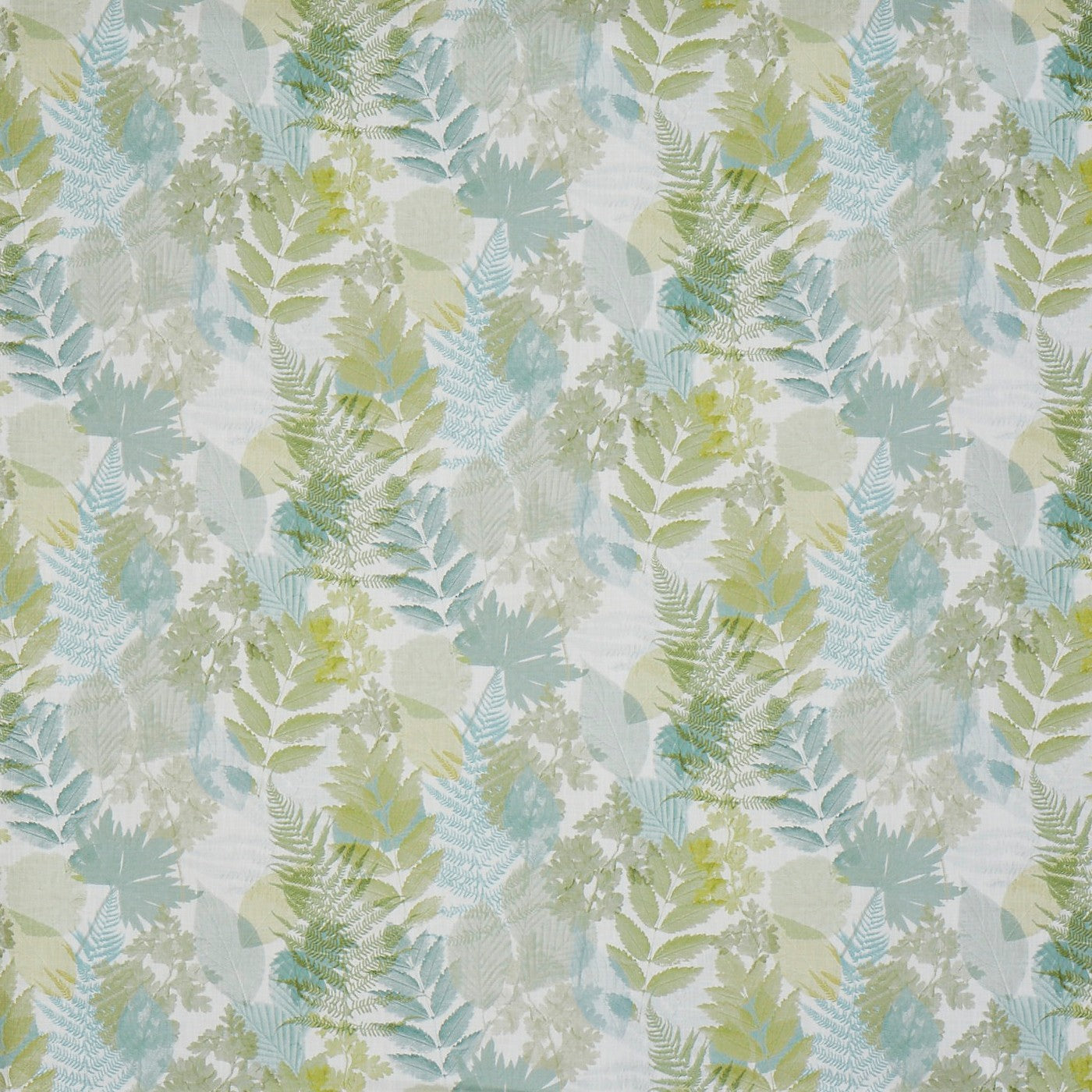 Forest Willow (pts108)
