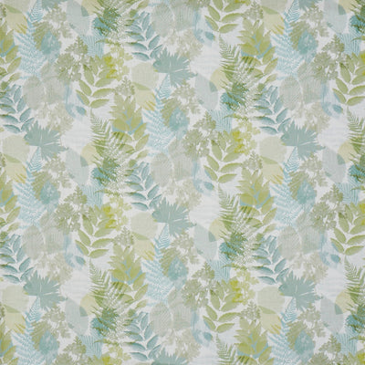 Forest Willow (pts108)