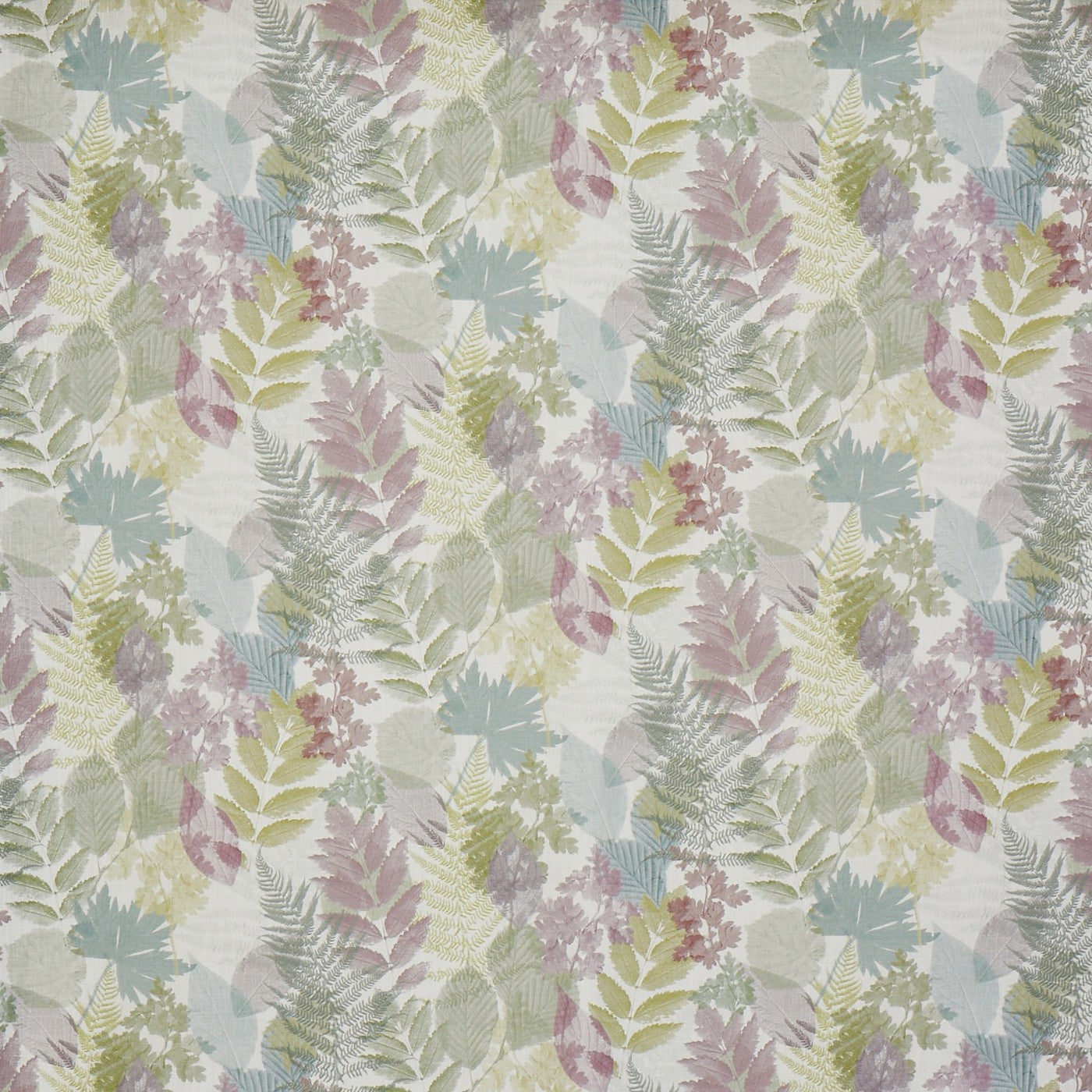Forest Wisteria (pts108)