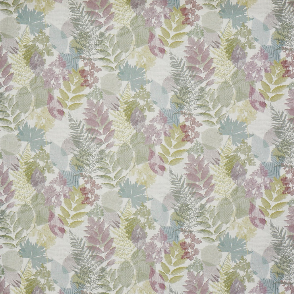 Forest Wisteria (pts108)