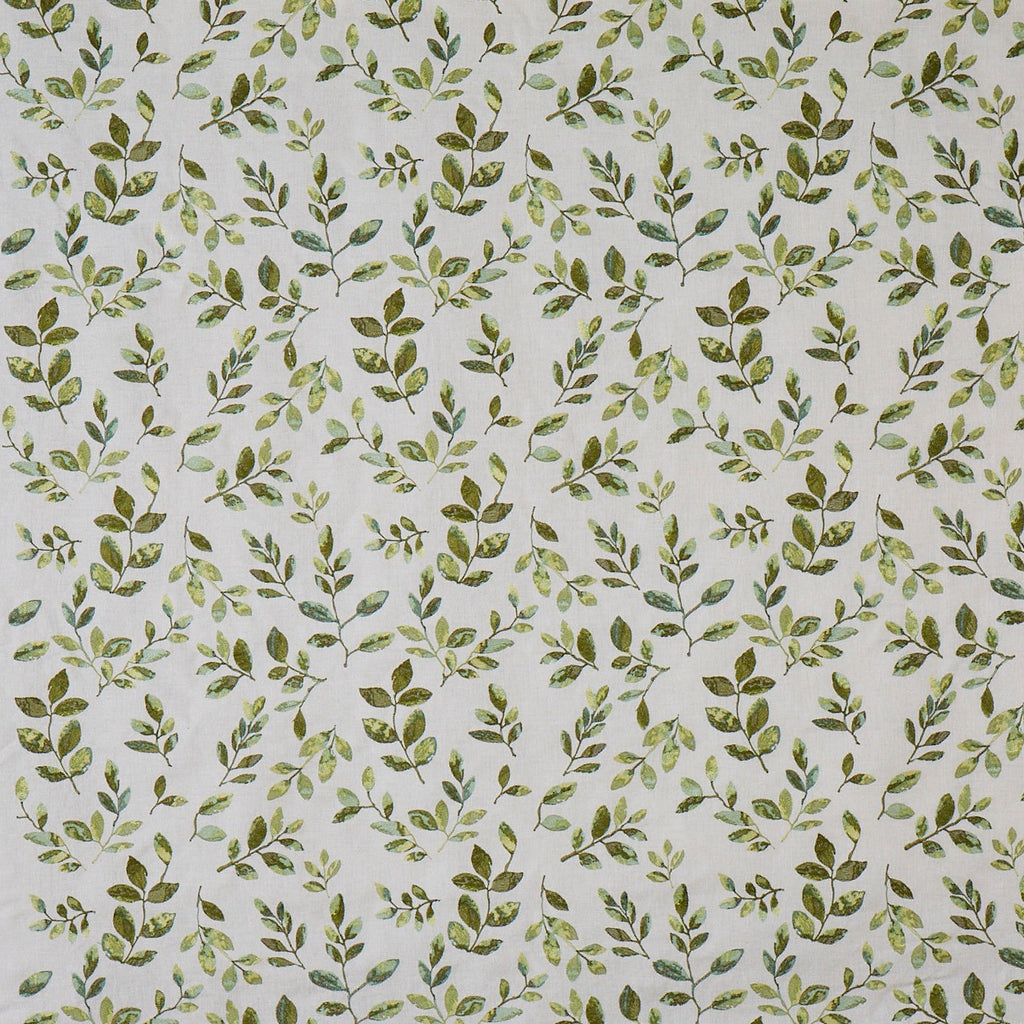 Nature Willow