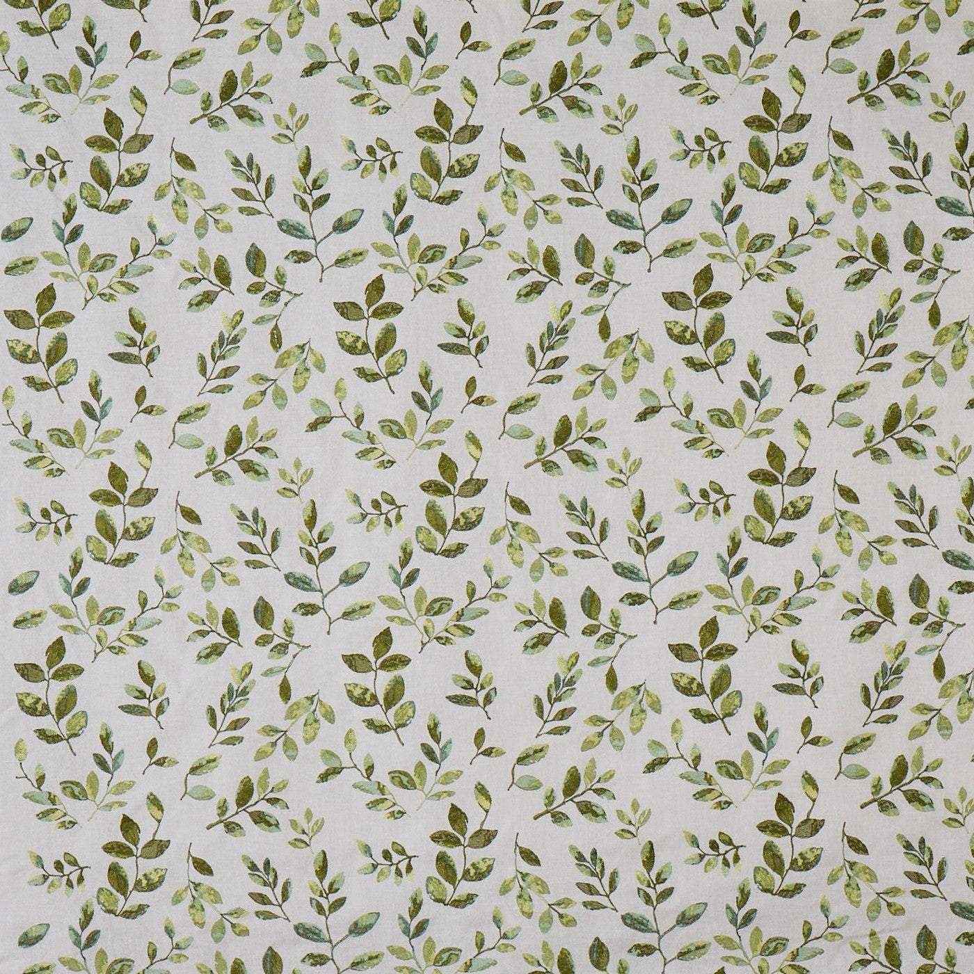 Nature Willow