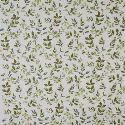 Nature Willow