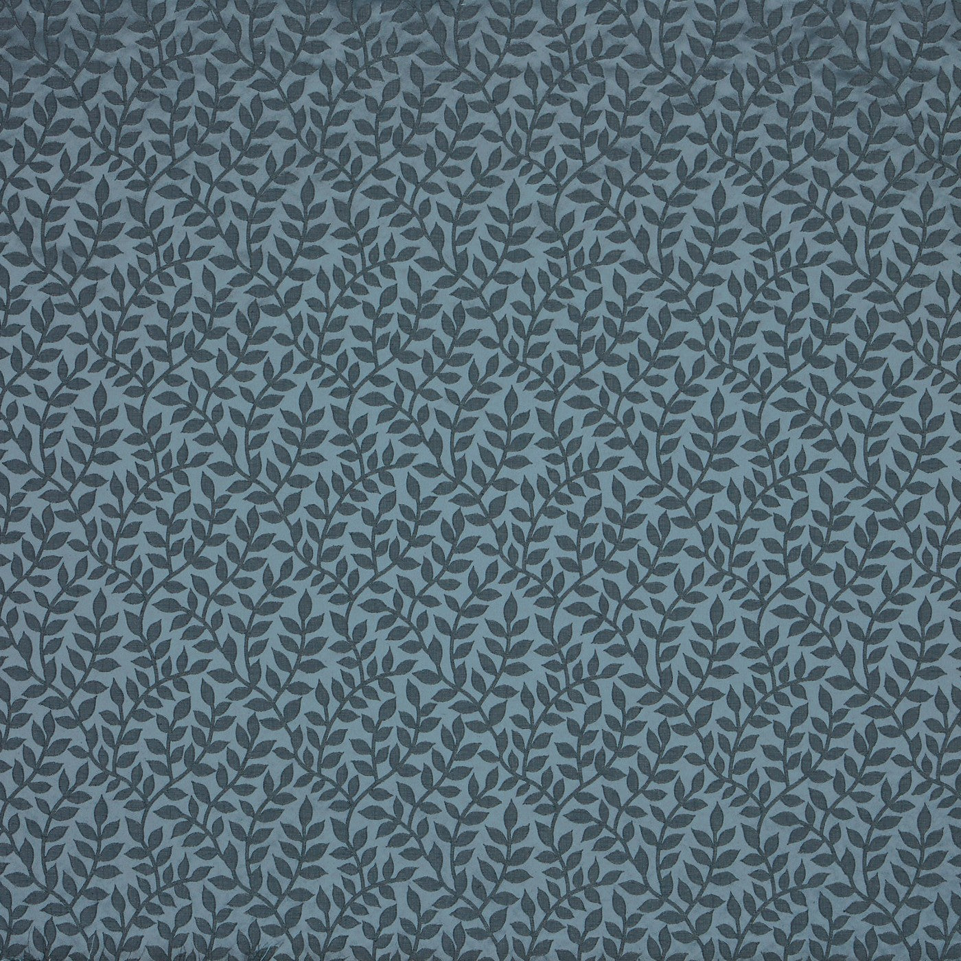 Vine Indigo